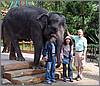 Kenji, Yaeko, Bob & Big Friend Kenji, Yaeko, Bob & Big Friend